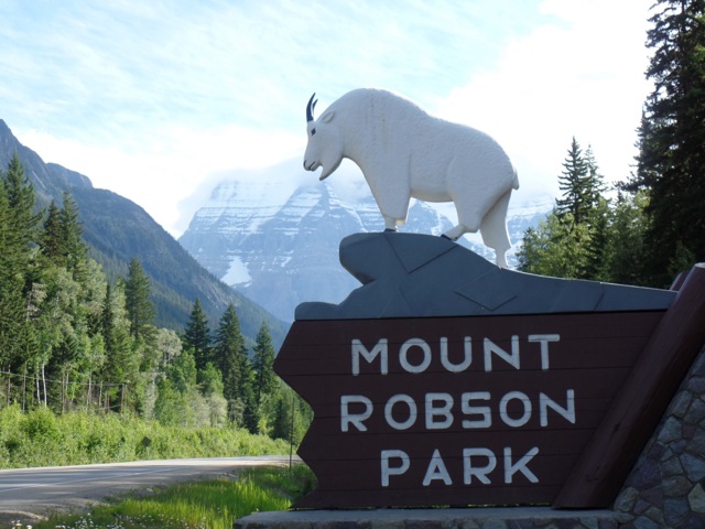 All Hail the Mountain Eating Ram