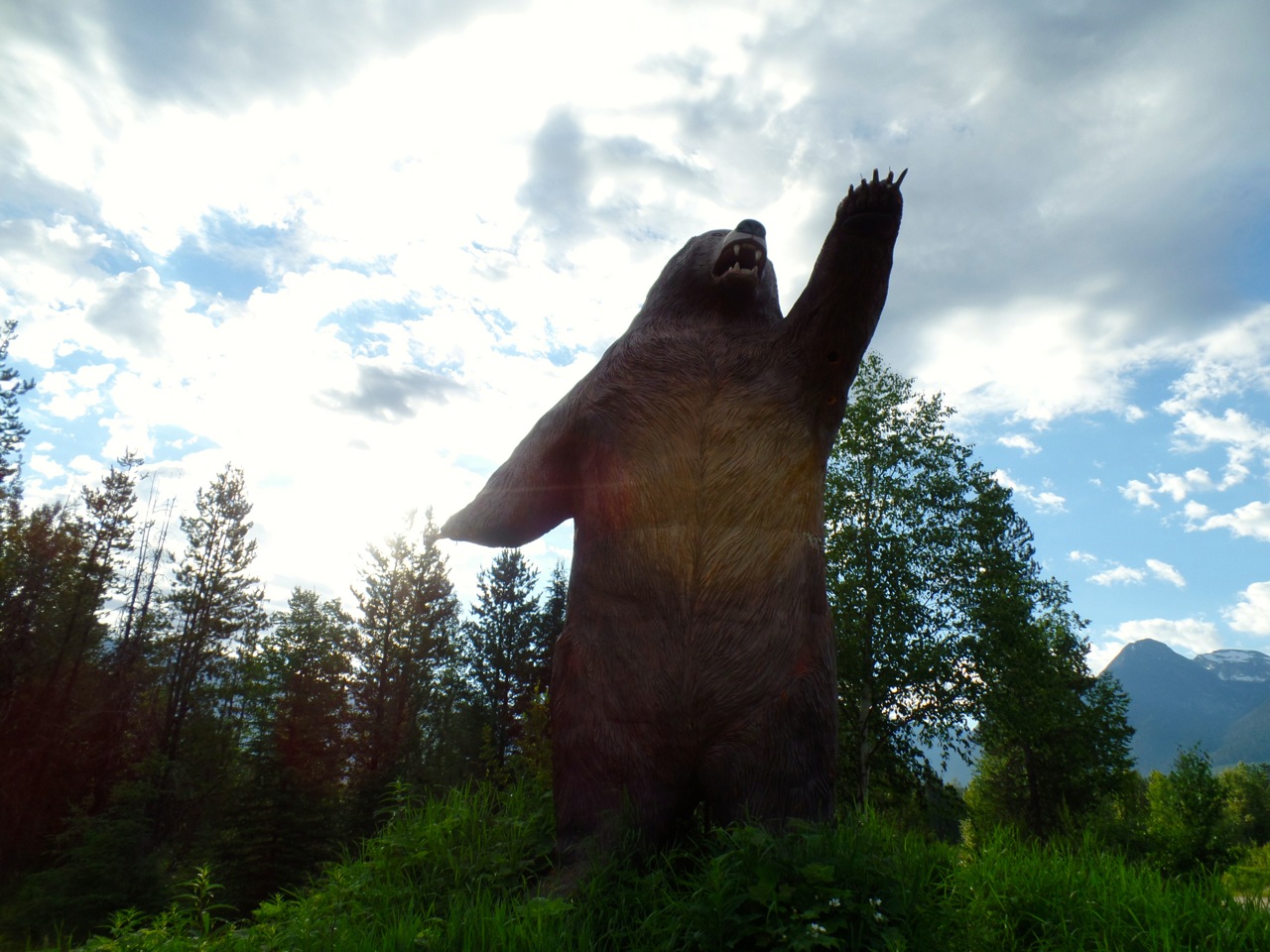 Would you like coffee?