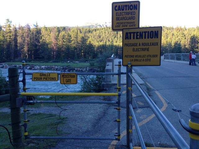 Electrified fences complement the Texas grates surrounding the campground.