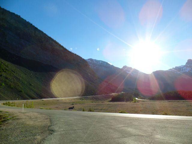 Serpentine curves coming down from Sunwapta Pass