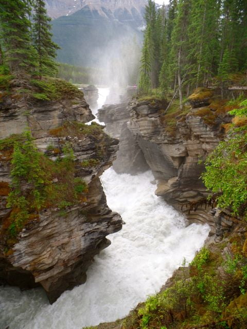 Mistaya Falls