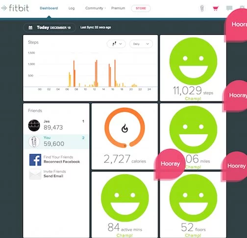 Fitbit Dashboard.  Jes continues to kick my ass.