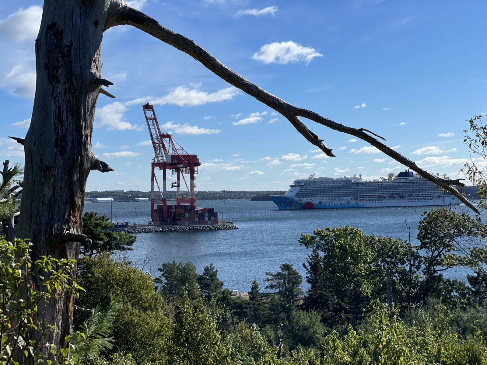 Harbor view from Point Pleasant Park