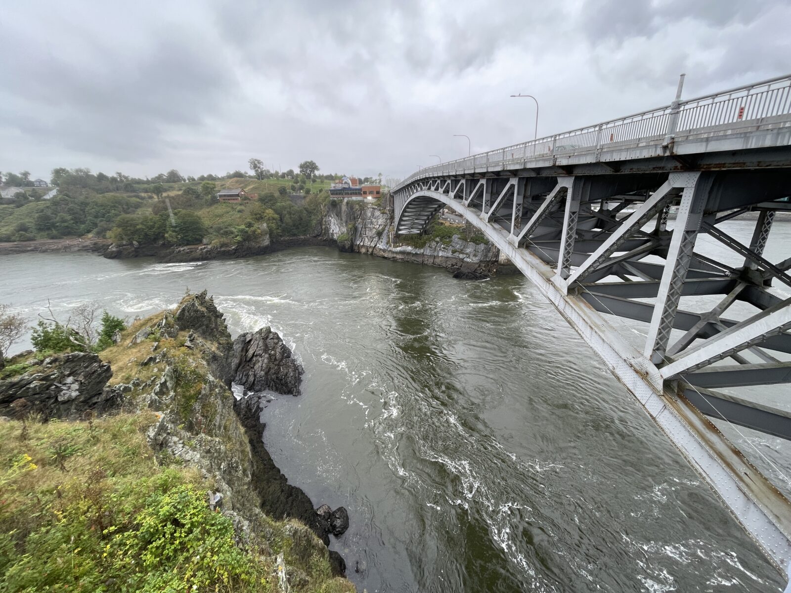 Reversing Falls, about an hour before low tide