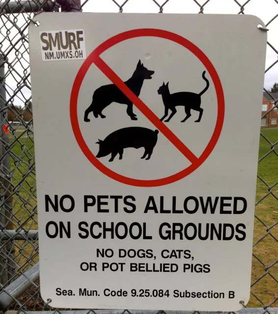 ... and they wouldn't let me bring my pot-bellied pig.  Commies!